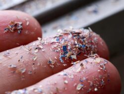 Peneliti Unair Temukan Mikroplastik Untuk Air Ketuban-Urine, Bisa Begini Dampaknya