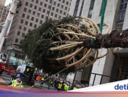 Pohon Natal Raksasa Hiasi Rockefeller Center Sambut Musim Liburan