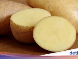 Jangan Lagi Dihindari! 5 Hidangan ‘Buruk’ Ini Bikin Dayatahan Tubuh Tubuh Kuat