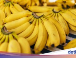 Sering Dicap Sehat, Benarkah Pisang Bisa Bikin Gula Darah Naik?