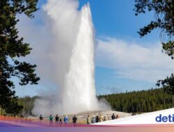 Mulai 2026, Tiket Taman Nasional Ke AS Bakal Naik Rp 1,6 Juta