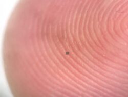 Lebih Kecil Di Butiran Nasi, Mesin Otomatis Otonom Ini Mampu Berendam Di Tubuh Manusia