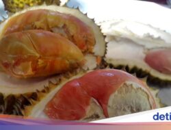 Pertama Ke Indonesia! Durian Merah Banyuwangi Raih Indikasi Geografis