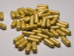 Pelatihan Perawatan Herbal Aman Hingga Ditengah Meningkatnya Tindak Kejahatan Diabetes