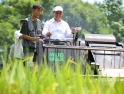 Kementan Bentuk 33 Balai Besar Modernisasi Agrikultur Hingga 33 Provinsi