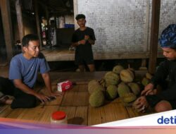 Sebelumnya Kawalu, Traveler Masih Bisa Pesta Durian Hingga Baduy