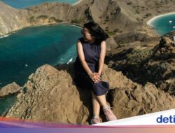 Pengumuman, TN Komodo Ditutup Sambil Itu buat Wisata