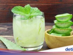 Minum Jus Lidah Buaya Rutin, Ini yang Bisa Terjadi Di Tubuh
