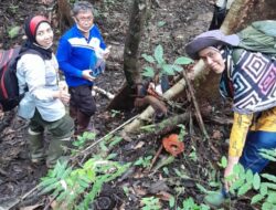 Peneliti Indonesia Kembali Temukan Jenis Terbaru Rafflesia