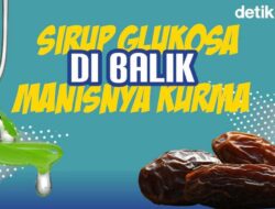 Fakta-fakta Kurma Mengandung Glukosa dan Kalium Sorbat Fungsi hingga Ciri-cirinya