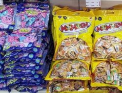 Awal 2026, Momogi Group Gencar Ekspansi Ke Pasar Internasional