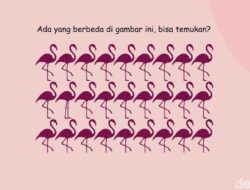 Uji Ketajaman Mata dan Fokus Lewat Teka-teki Gambar, Selesaikan Di 5 Detik!