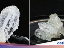 Viral! Food Blogger Ini Bikin Ayam Goreng Transparan Mirip Kaca, Berani Coba?