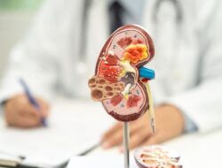 Waspada Kanker Ginjal Ke Usia Muda, Ini Tanda yang Kerap Diabaikan