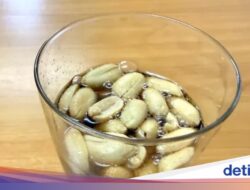 Minum Soda Campur Kacang Goreng Karena Itu Gaya Hingga Jepang, Gimana Rasanya?