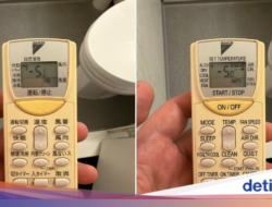 Kepanasan Hingga Kamar Hotel Jepang, Turis Amerika Diselamatkan AI