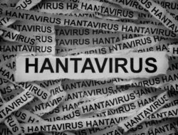 IDAI Imbau Tak Khawatir Soal Hantavirus, Masalah Difteri-Campak Lebih Darurat