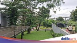 Taman Apung Karena Itu Oase Hijau Warga Jakarta Timur Untuk Bersantai