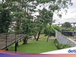 Taman Apung Karena Itu Oase Hijau Warga Jakarta Timur Untuk Bersantai