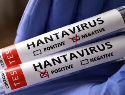 Waspada Hantavirus, Kenali Tanda-Tanda, Penularan, dan Cara Mencegahnya