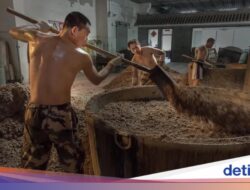 Ilmuwan Pecahkan Misteri Alkohol China Berusia 2.500 Tahun