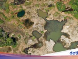 5 Bangsa yang Berisiko Terkena Kutukan Sumber Daya Alam