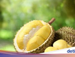 Durian hingga Sarden Masuk Daftar 5 Konsumsi Paling Dibenci, Kenapa Ya?
