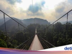 Sensasi Menyusuri Jembatan Terpanjang Di Asia Tenggara Di Ditengah Hutan Sukabumi