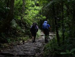 Pendakian Gunung Menimbulkan Kekhawatiran, Menhut Siapkan Pengaturan Bagi Cegah Kecelakaan dan Sampah