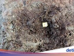 Terungkap Sudah Fungsi Kepingan Emas yang Ditemukan Di Candi Losari