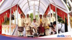 PDIP Vs PSI Soal Jokowi Jalani Ritual Injak Kepala Kerbau Di Lampung