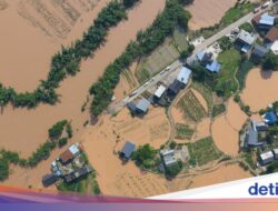 Bencana Alam Terjang China, 900 Ular Berbisa Untuk Penangkaran Serbu Pemukiman Warga
