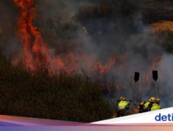 Gelombang Panas Eropa Picu Kebakaran, Wisatawan Diminta Lebih Waspada