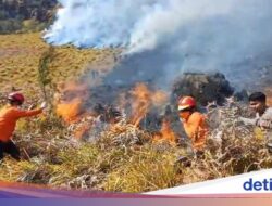 Bromo Kebakaran, BNPB Kerahkan 2 Helikopter Water Bombing