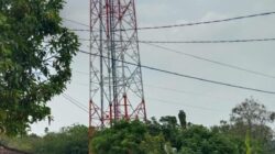 Protelindo Sampaikan Penjelasan Yang Berhubungan Bersama Kepemilikan Saham PT Bakrie Telecom Tbk