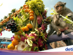 5 Perayaan Seni Buah Di Mancanegara yang Sayang Untuk Dilewatkan