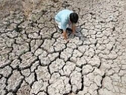 El Nino Super Kembali Setelahnya 11 Tahun, Kekeringan Hebat Akansegera Mengamuk Organisasiregional