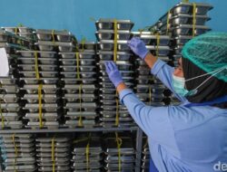BGN Targetkan 72,46 Juta Penerima MBG Di 2027