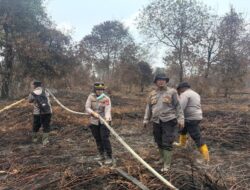 Tindak Kejahatan Karhutla, 95 Korporasi Masuk Tahap Penyelidikan dan Penyidikan