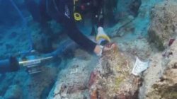Bangkai Kapal Tertua Ke Dunia Ditemukan Ke Perairan Turki