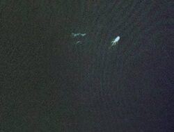Bentuk-bentuk Misterius Tertangkap Lensa Gadget Lunak Google Earth