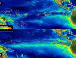 Kejadian Luar Biasa Super El Nino Ubah Warna Laut Samudra Pasifik