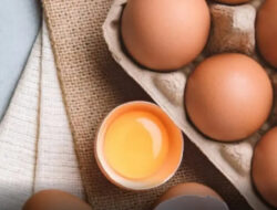 IDAI Jelaskan Bahaya Telur Mentah Untuk Bayi, Ungkap Risiko Infeksi Salmonella