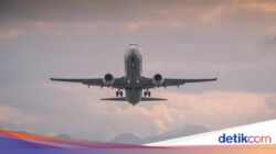 Jelang Liburan Akhir Tahun, Harga Tiket Pesawat Di Negeri Trump Meroket
